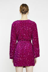 Cerise Velvet-Sequin Tie-Waist Wrap Mini-Dress